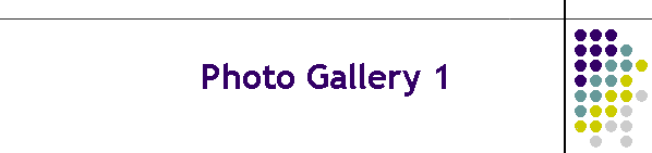 Photo Gallery 1